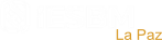 Logo IESBM